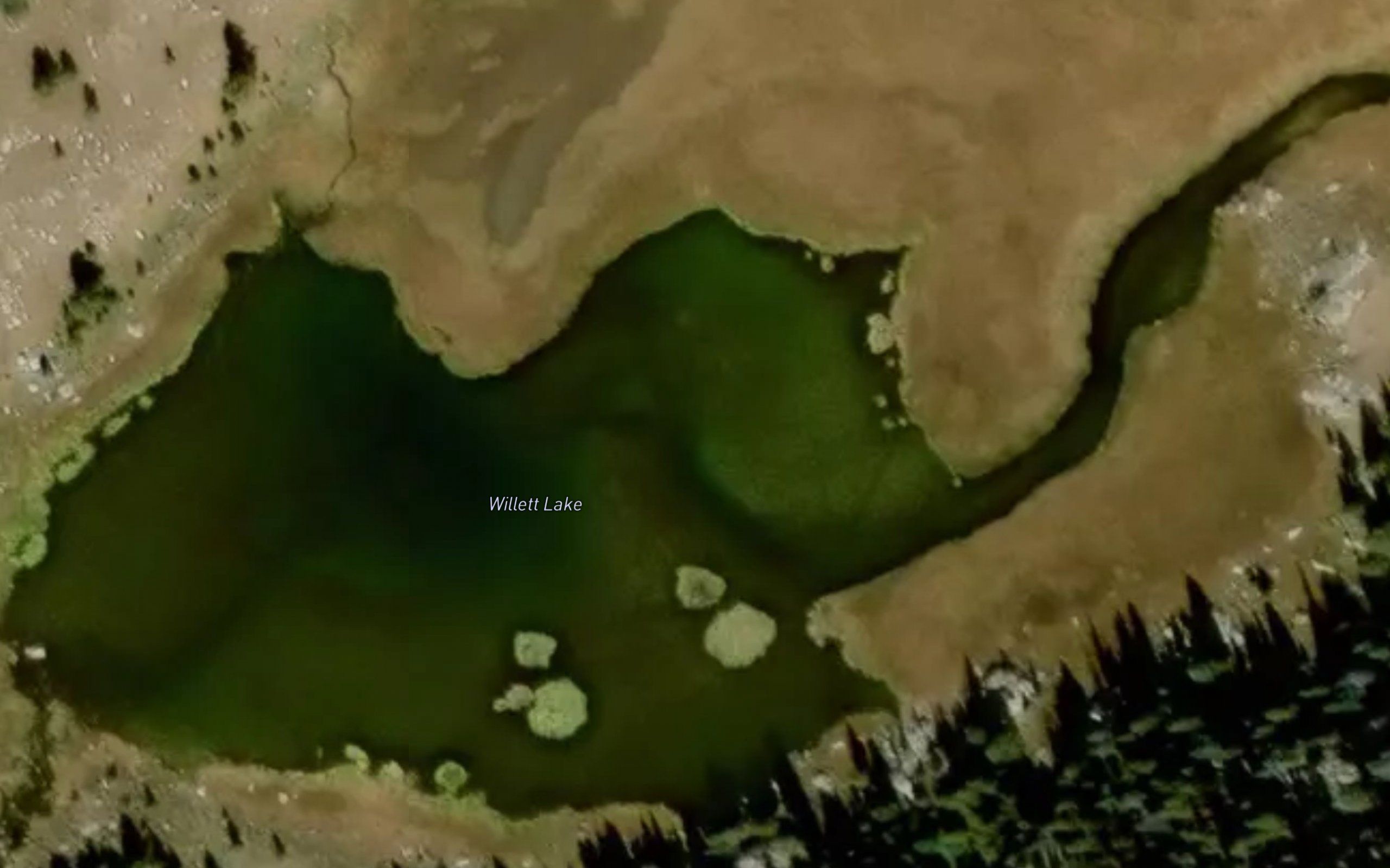 Willett Lake