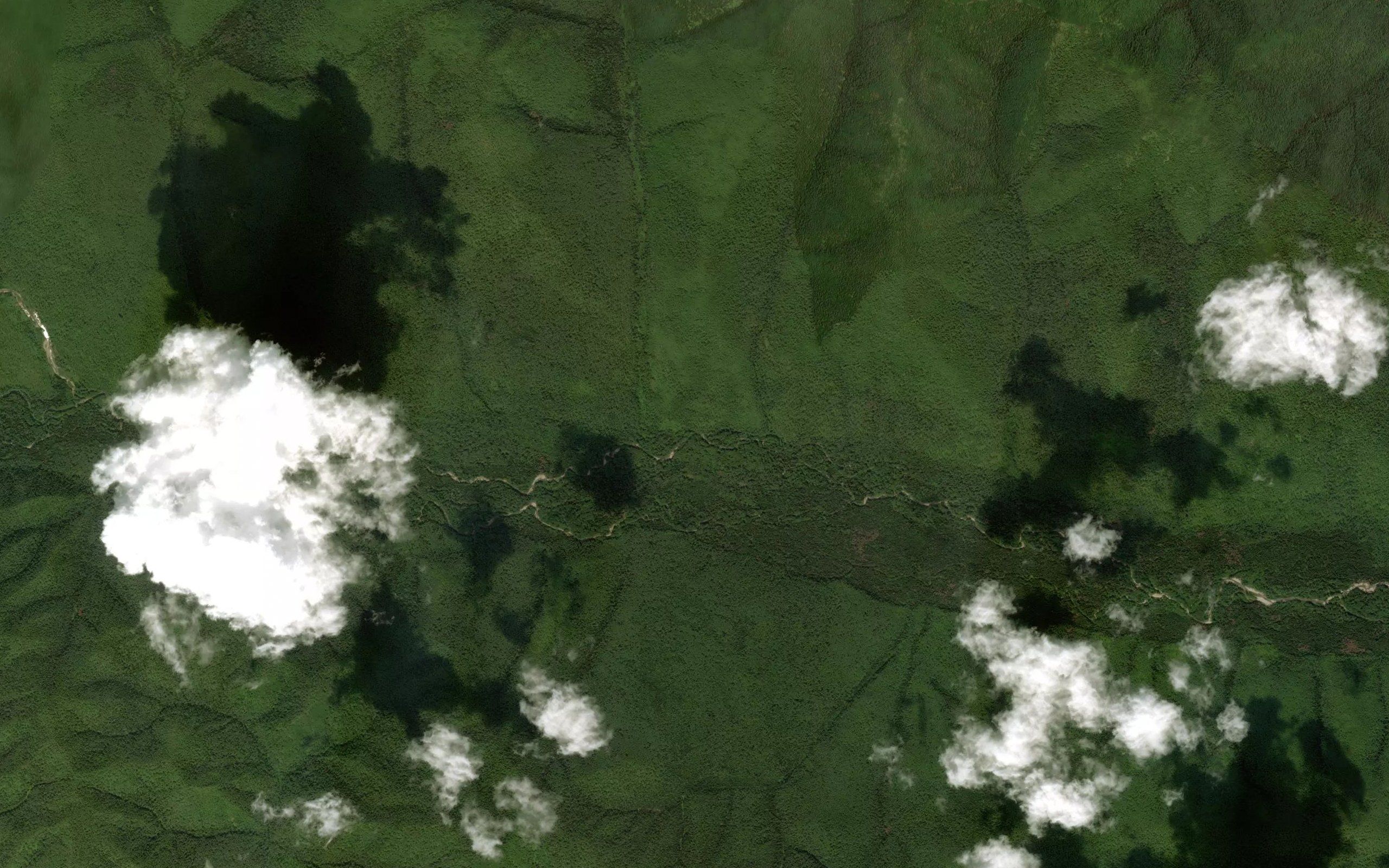 Rodnikovyy