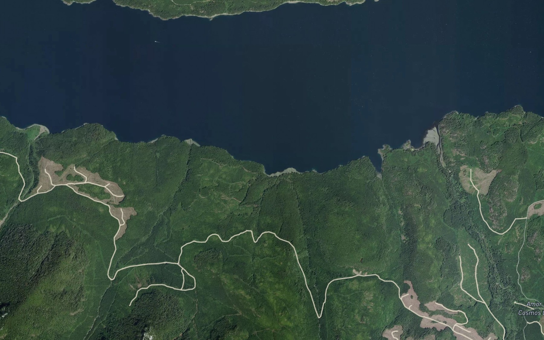 Satellite map of the Palmer Bay
