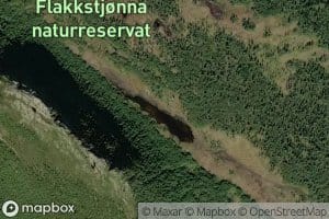 Flakkstjorna