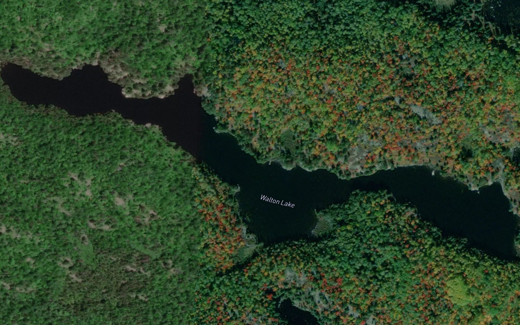 Satellite map of the Walton Lake