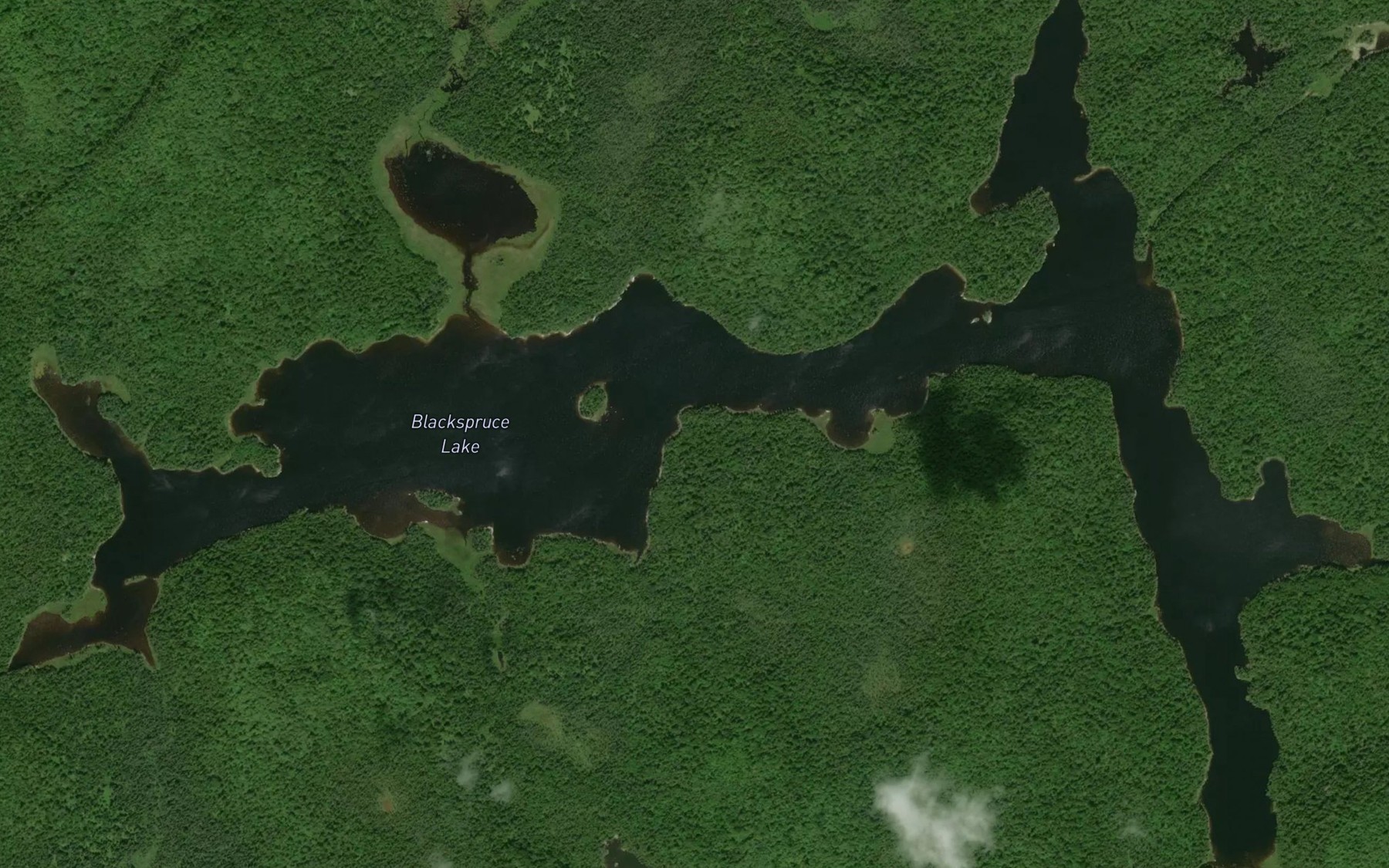 Satellite map of the Blackspruce Lake