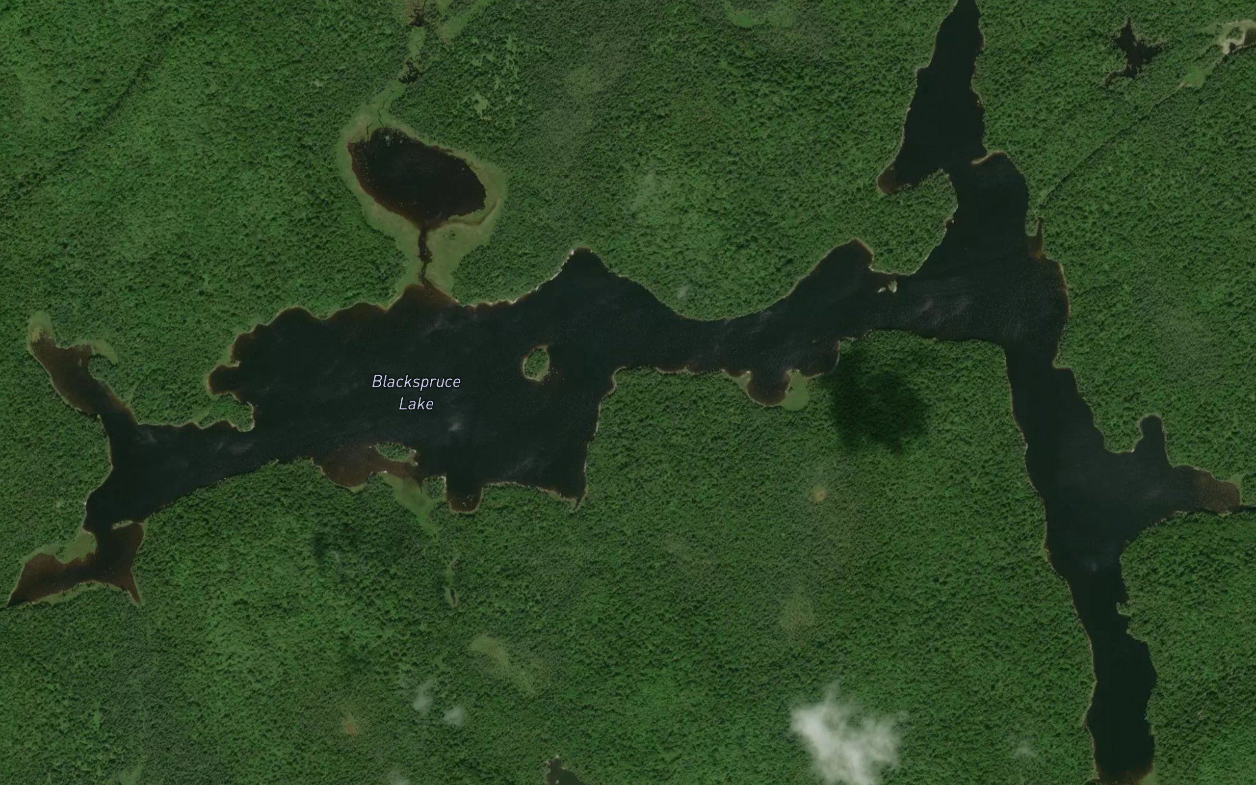 Blackspruce Lake