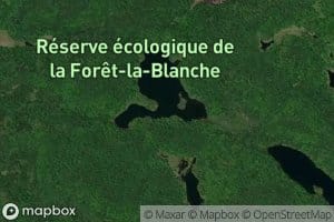 Lac aux Castors