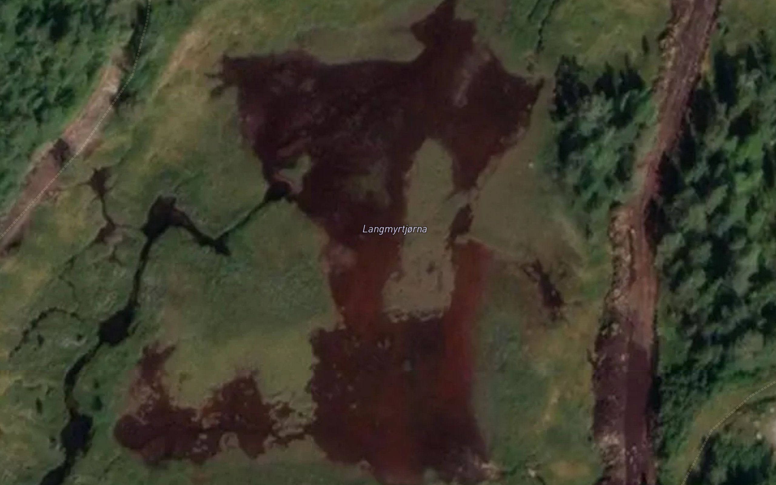 Langmyrtjorna
