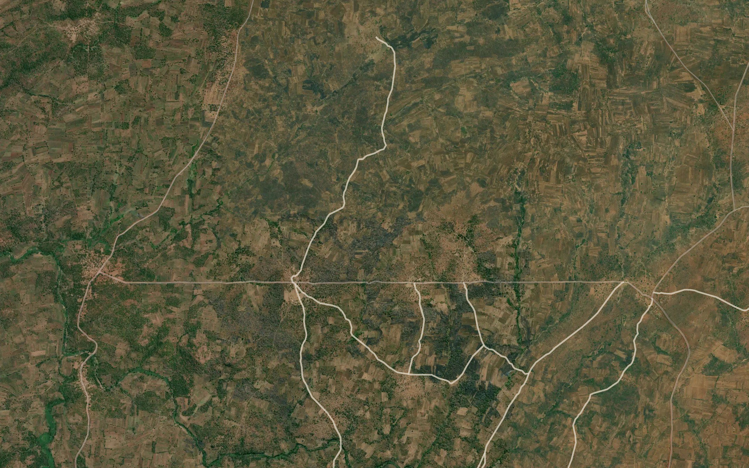 Manyula