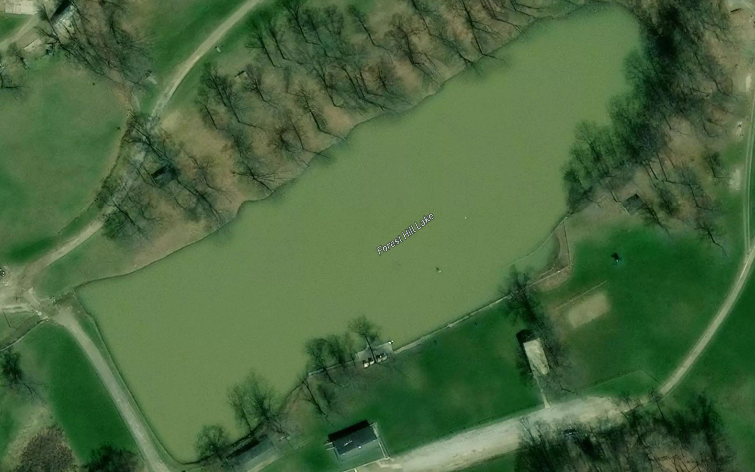 Forest Hill Lake
