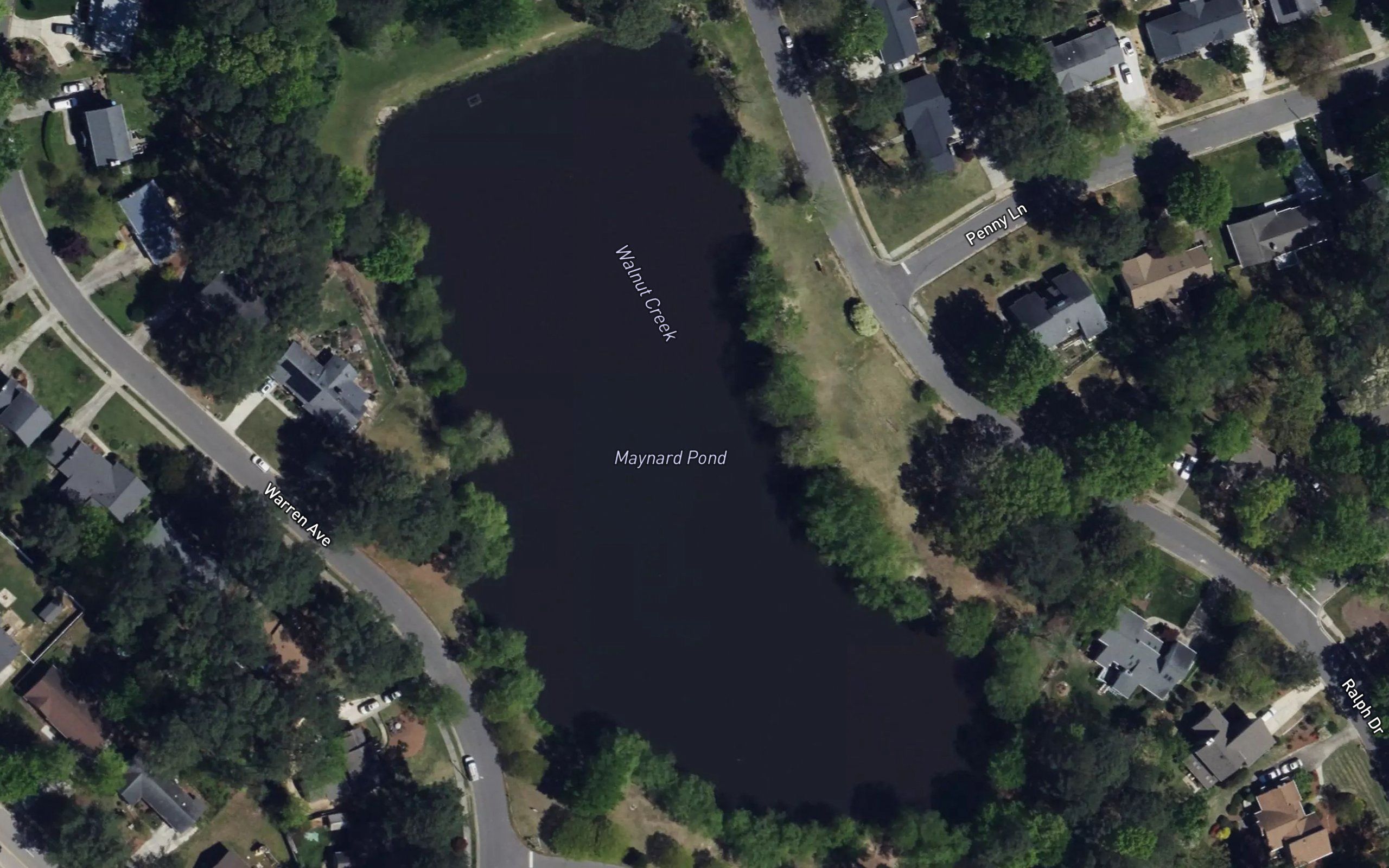 Maynard Pond