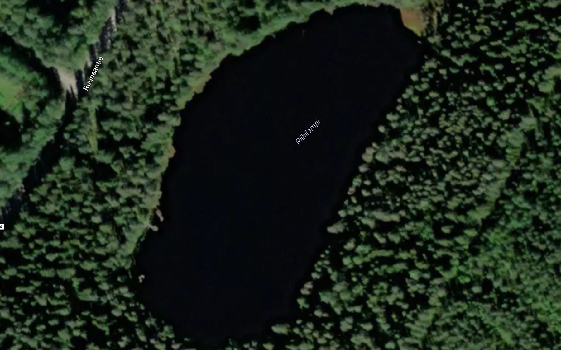 Satellite map of the Riihilampi