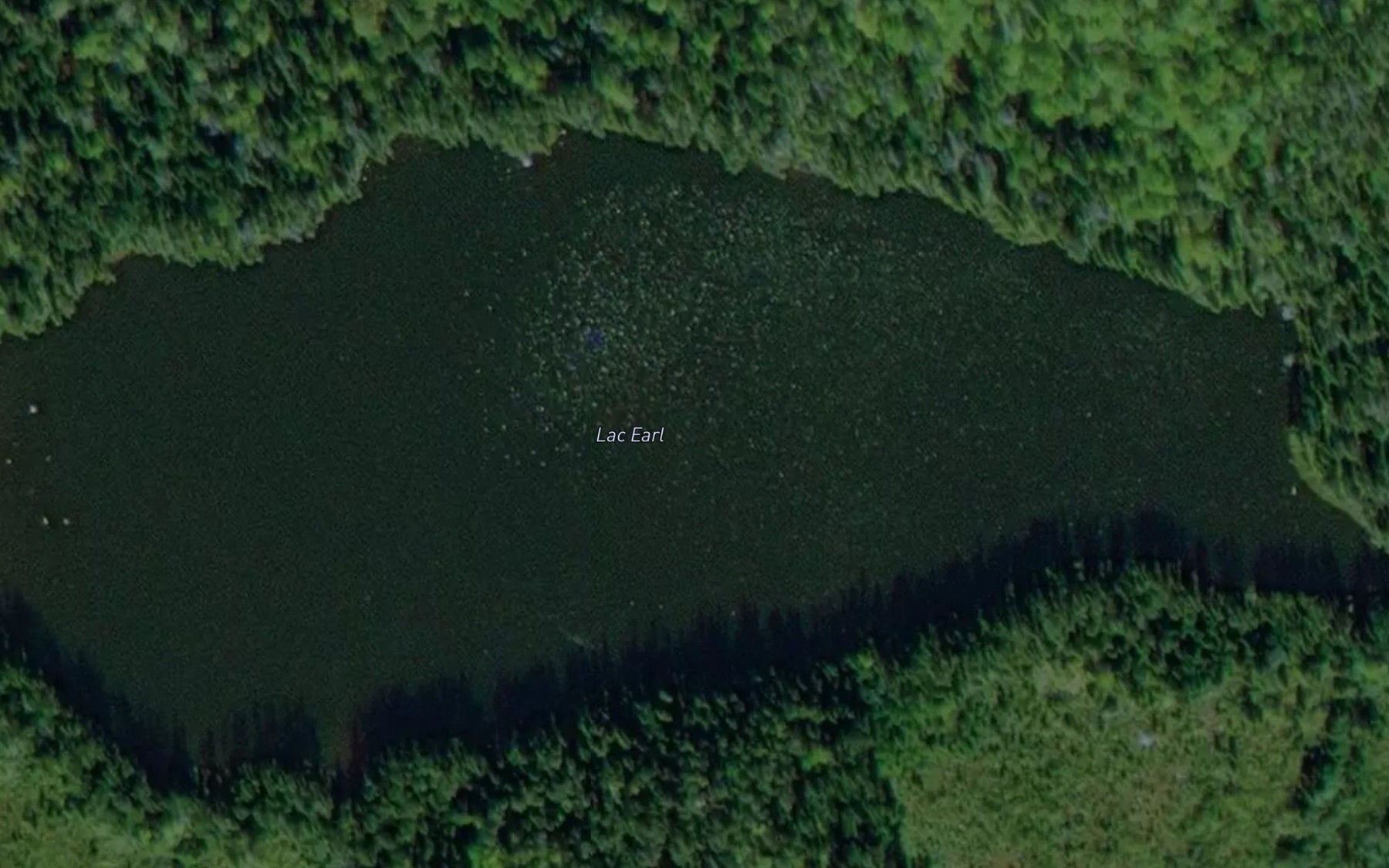 Satellite map of the Lac Earl