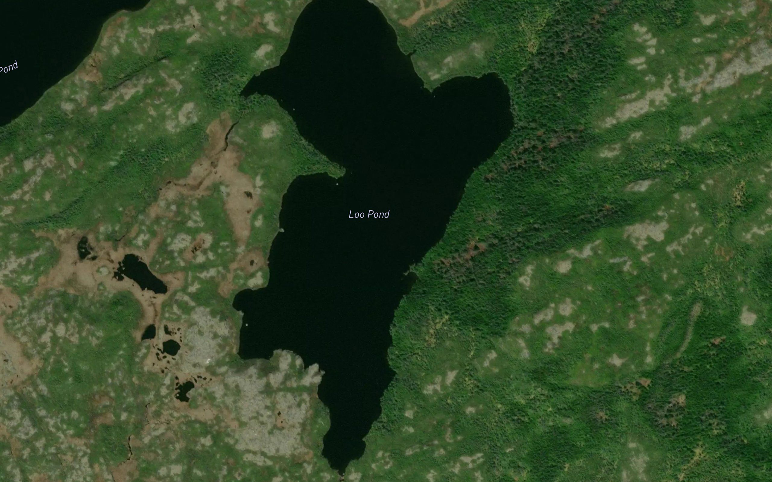 Loo Pond