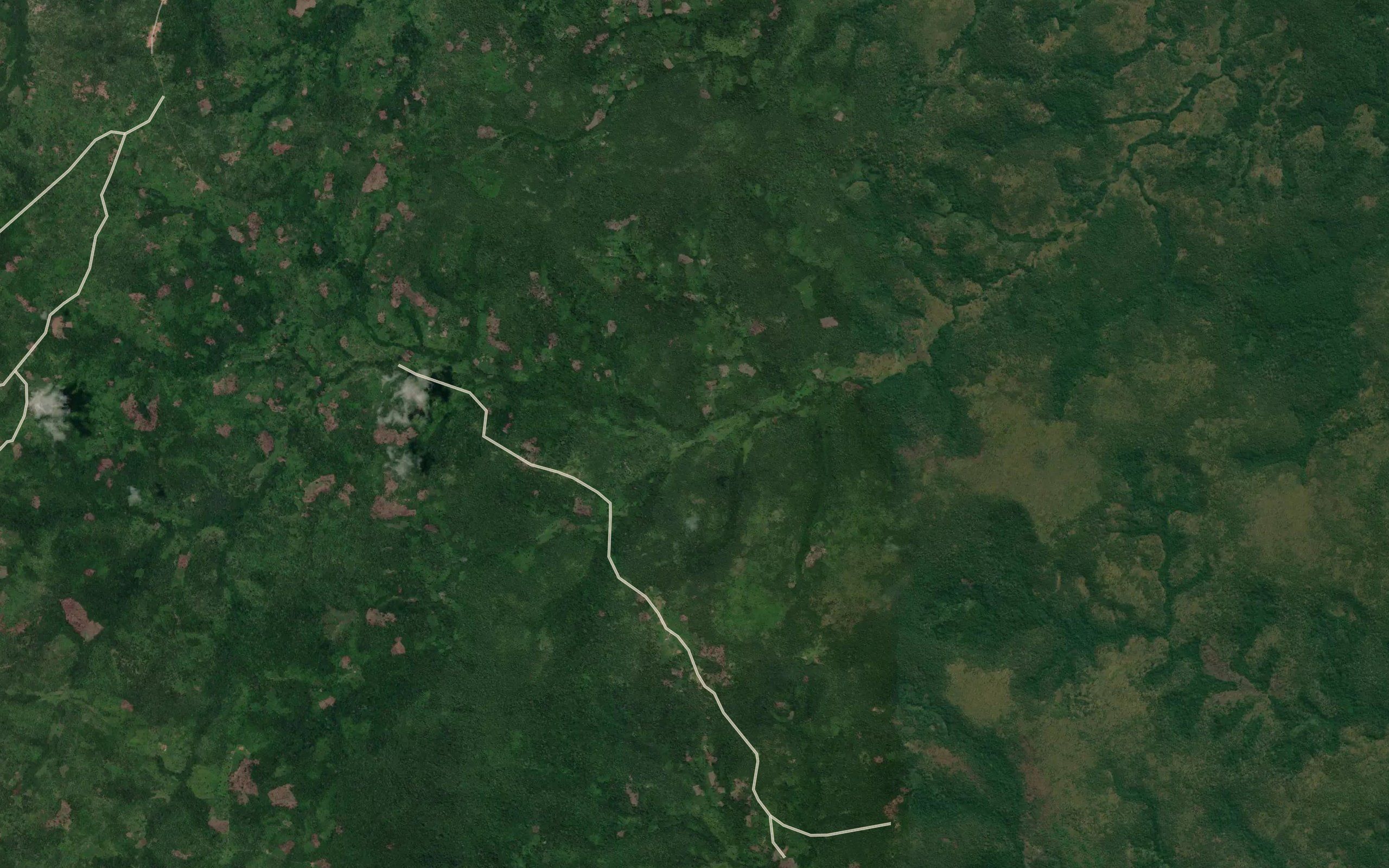 Quibuquila