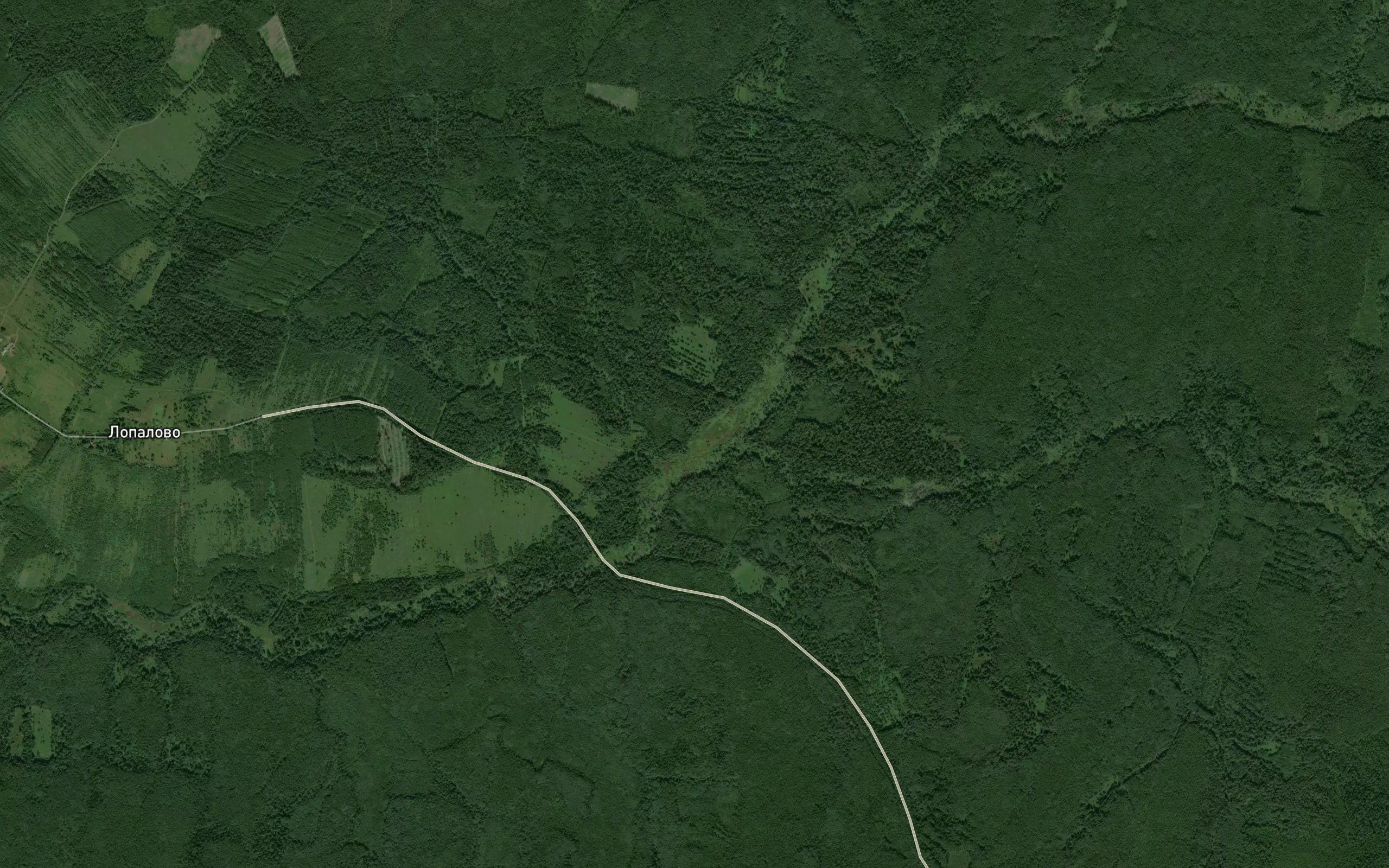 Rzhavaya