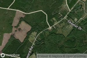Rozier Branch
