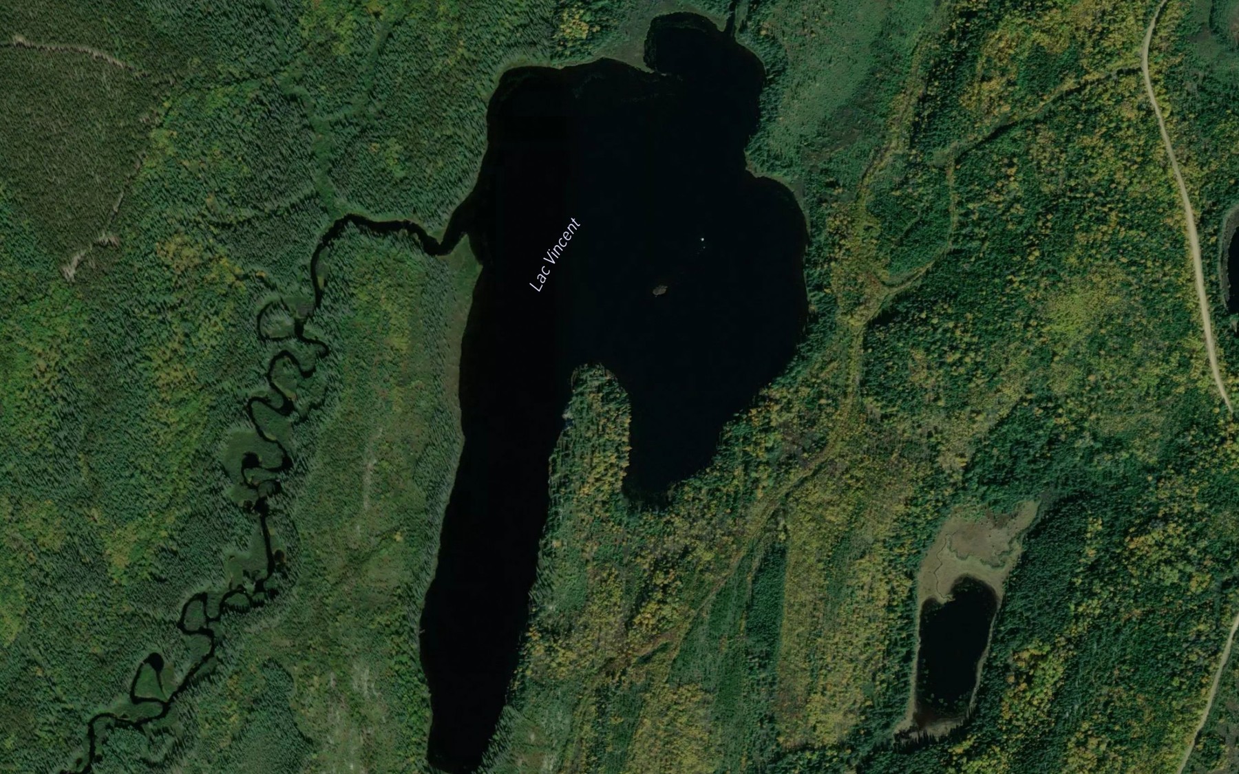 Satellite map of the Lac Vincent