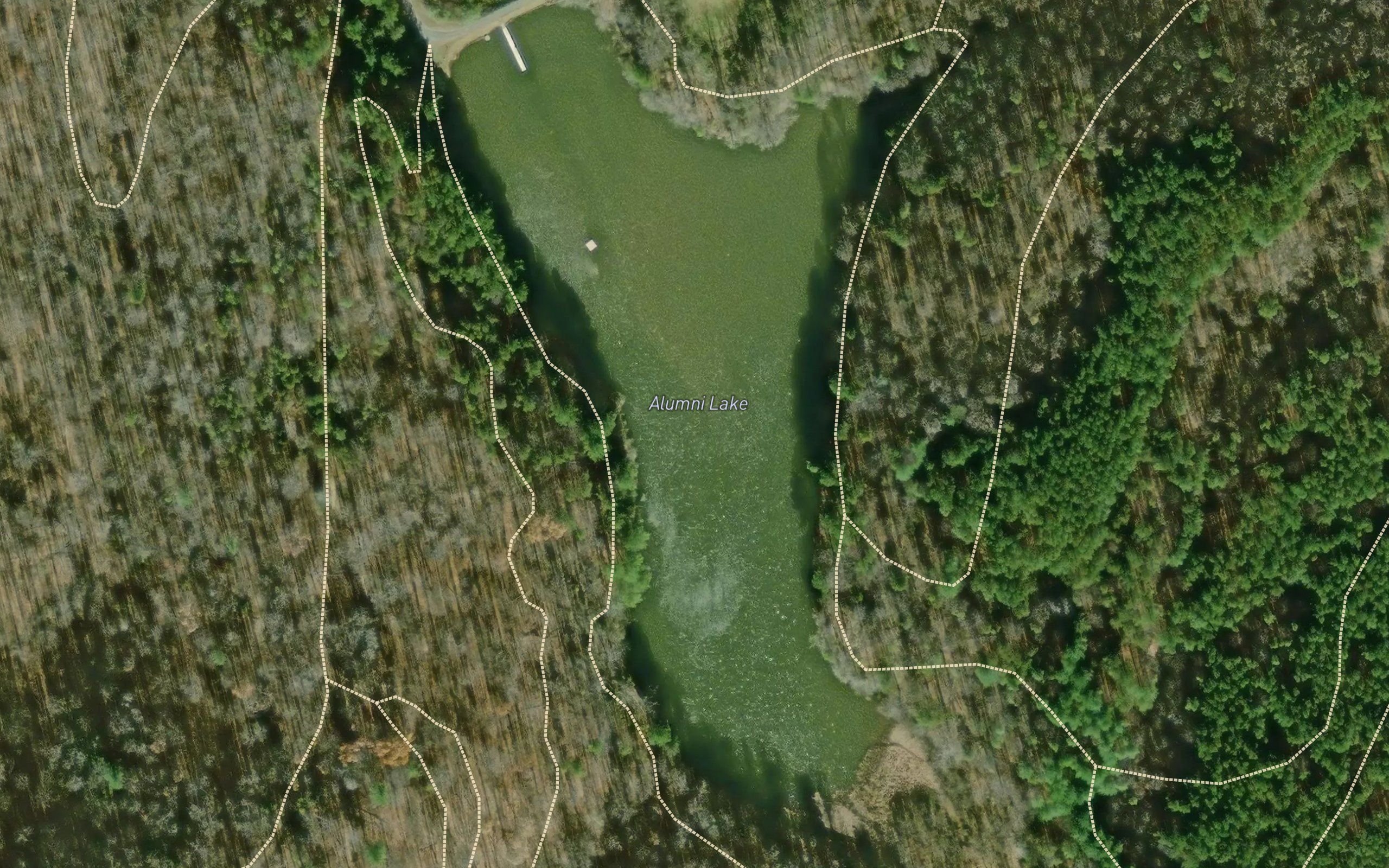 Alumni Lake