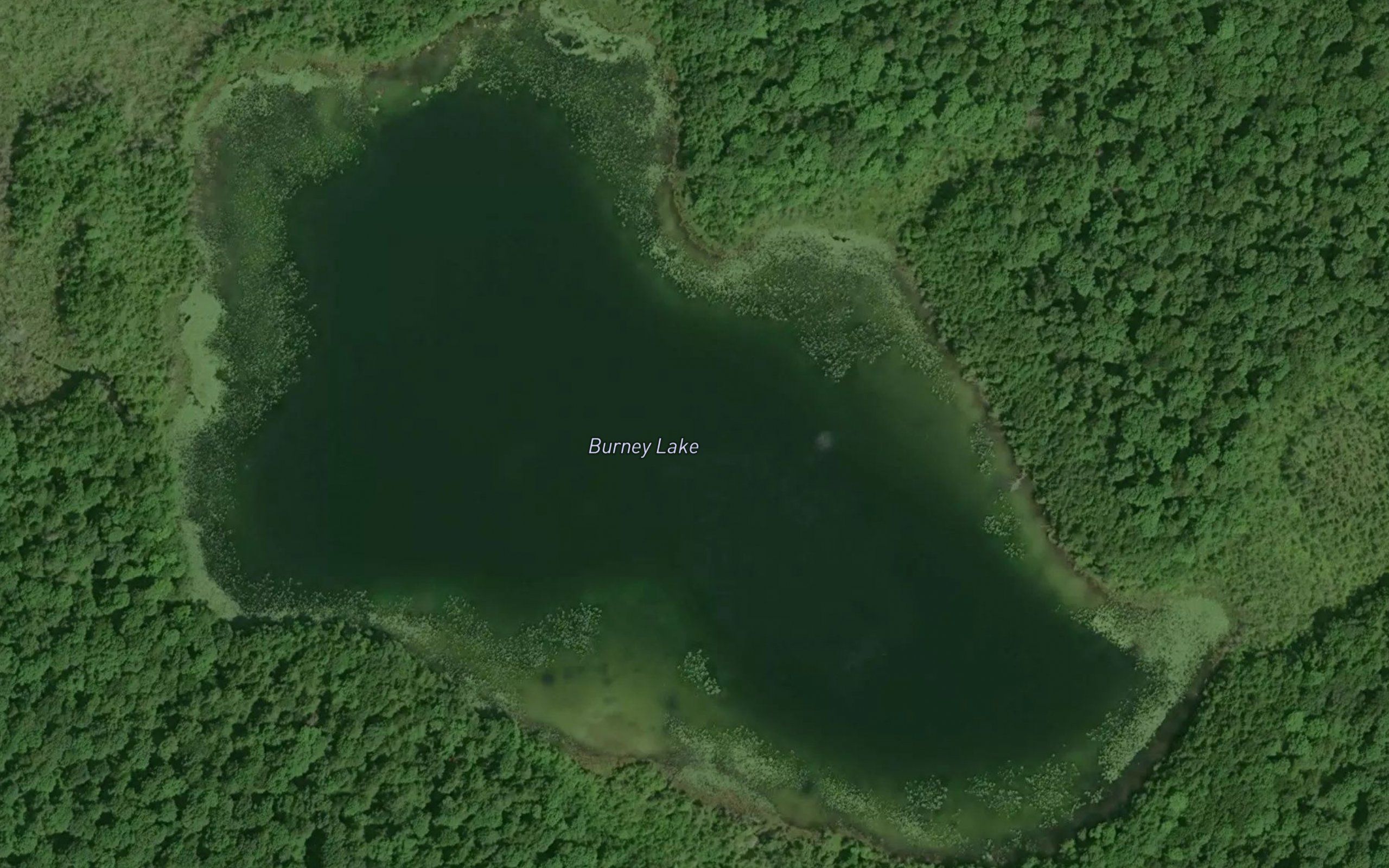 Burney Lake