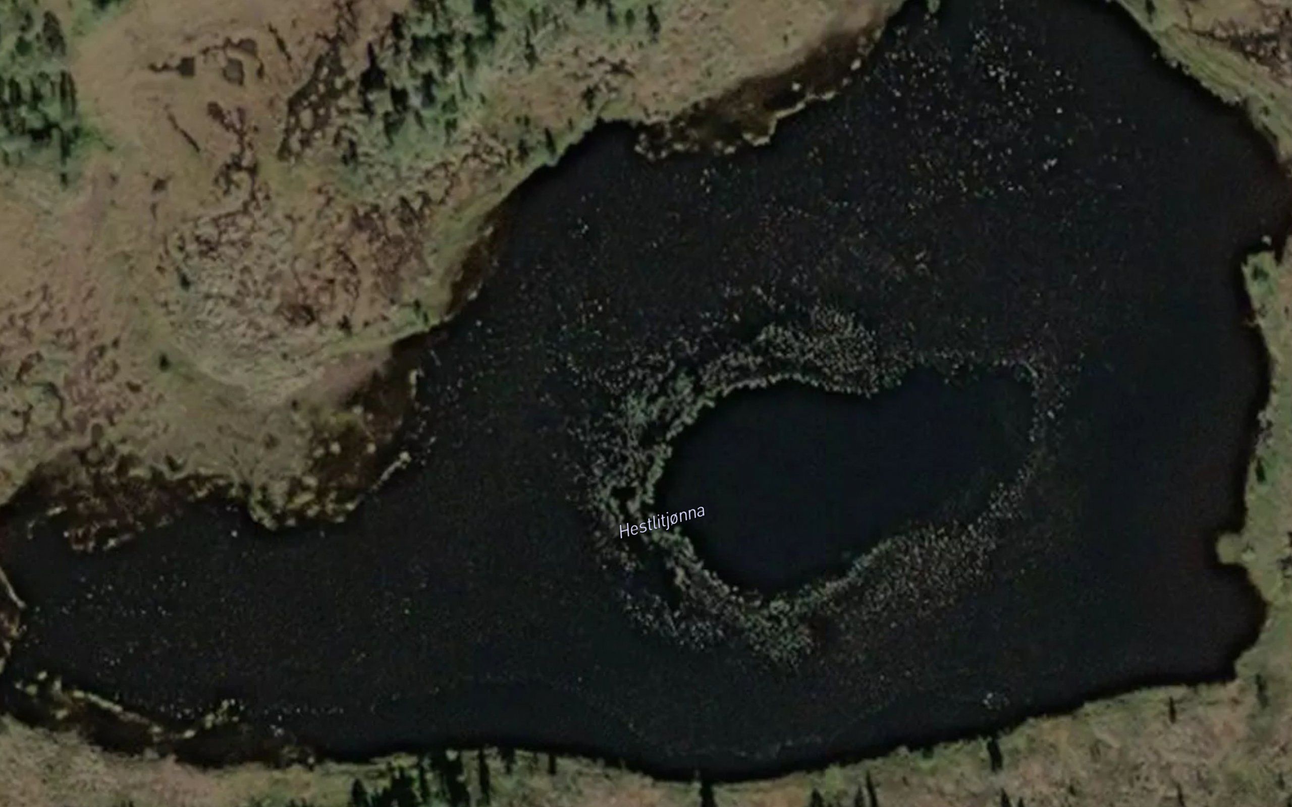 Hestlitjorna