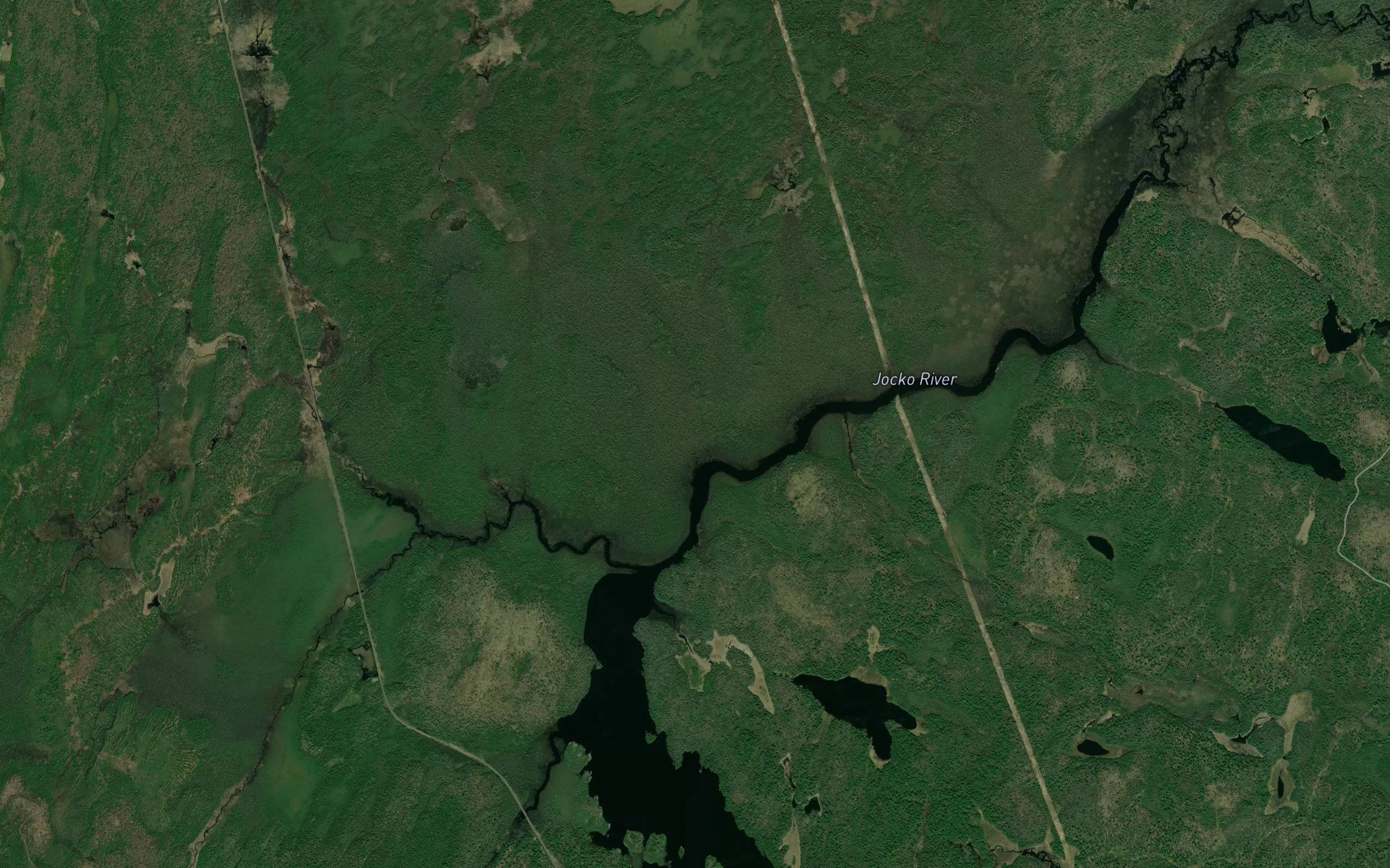 Black Duck Creek
