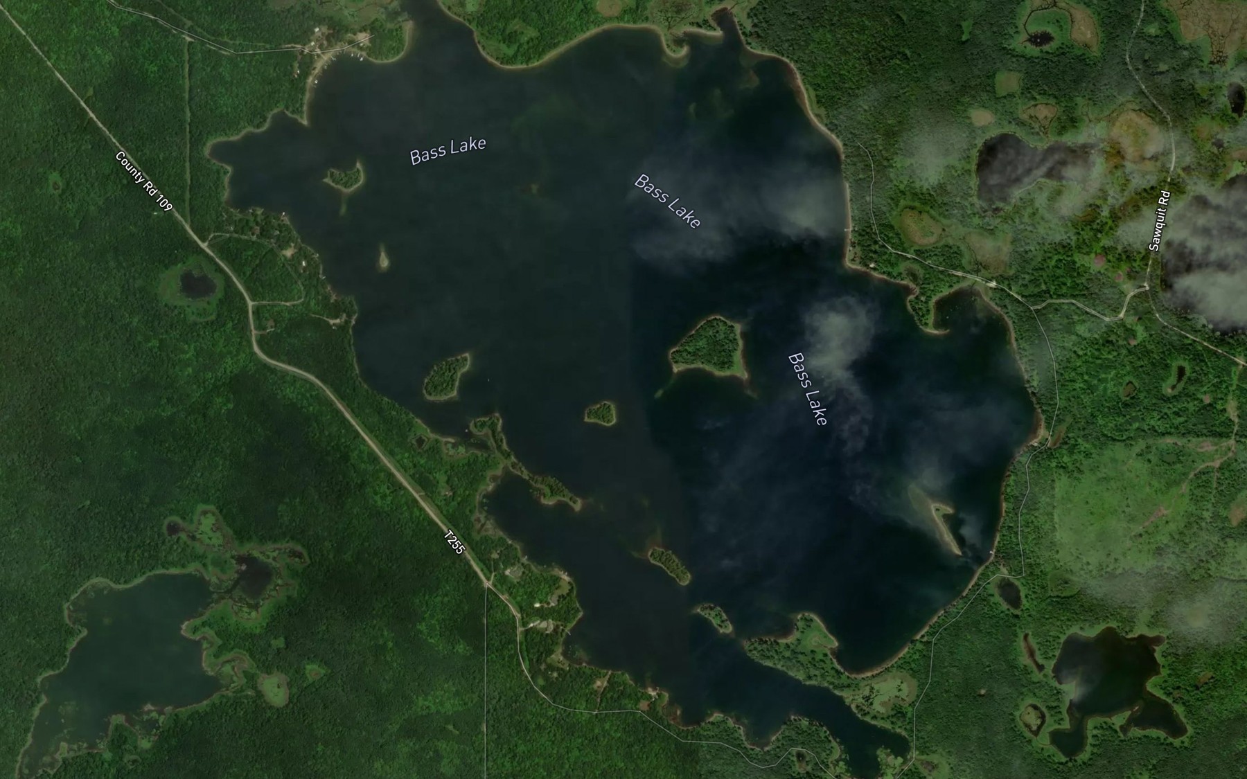 Satellite map of the Bass Lake
