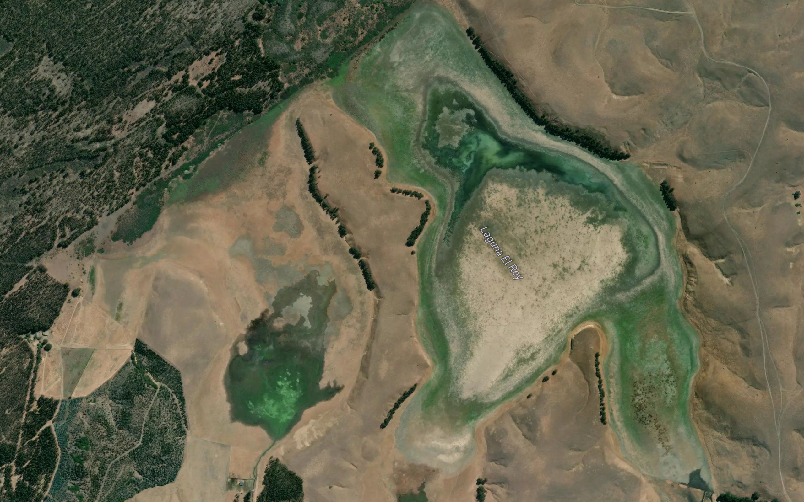 Laguna del Rey