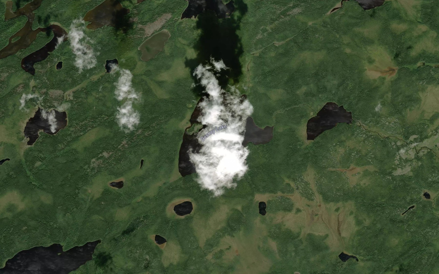 Satellite map of the Gosney Lake