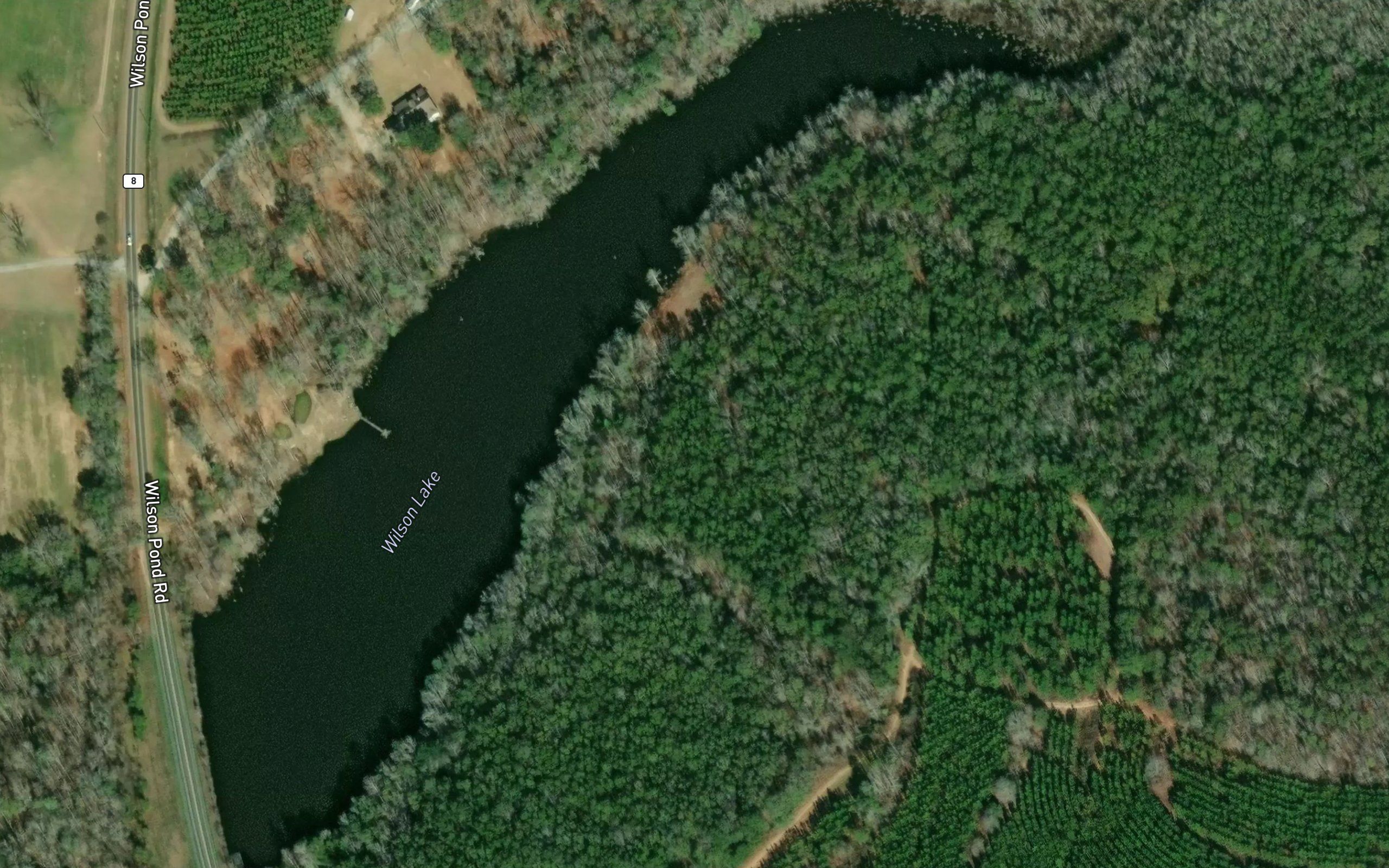 Wilson Lake