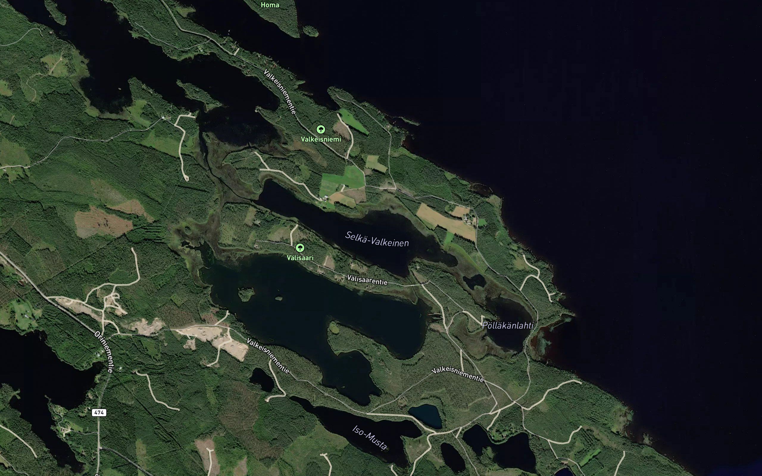 Selka-Valkeinen