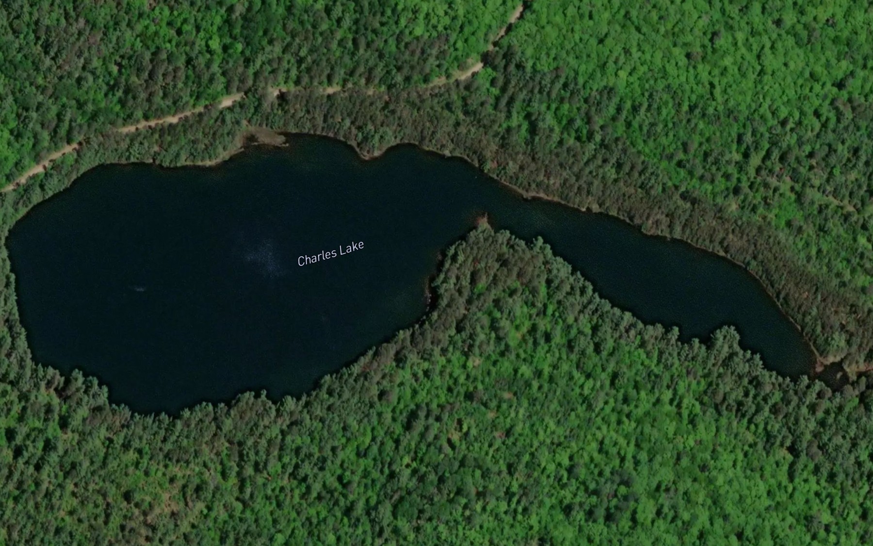 Satellite map of the Charles Lake