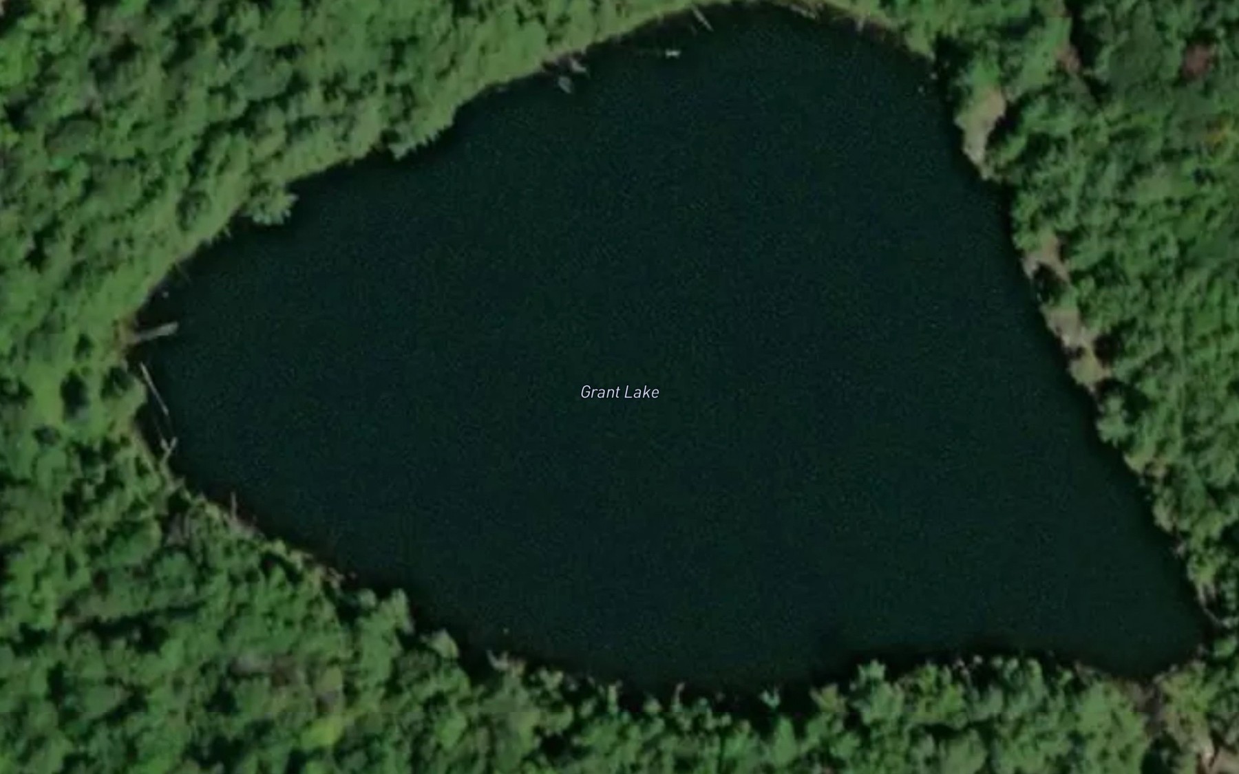 Satellite map of the Grant Lake