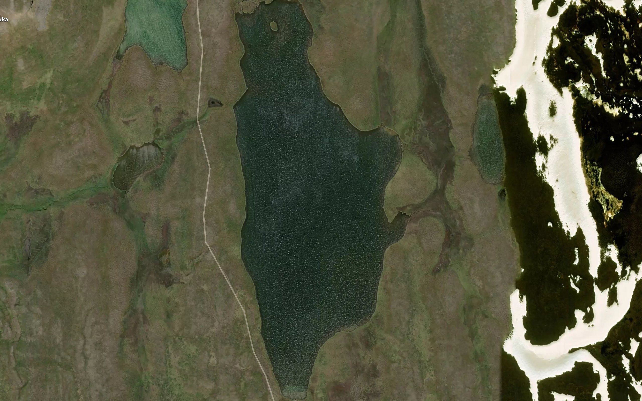 Goastejavri,bajimus