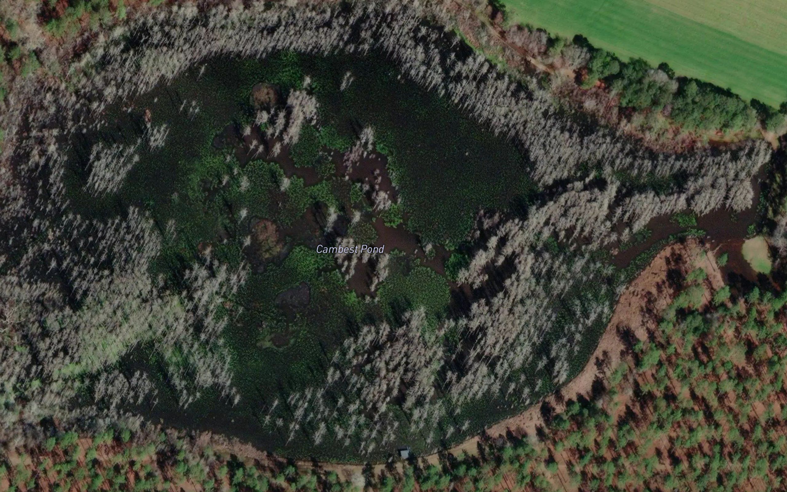 Cambest Pond