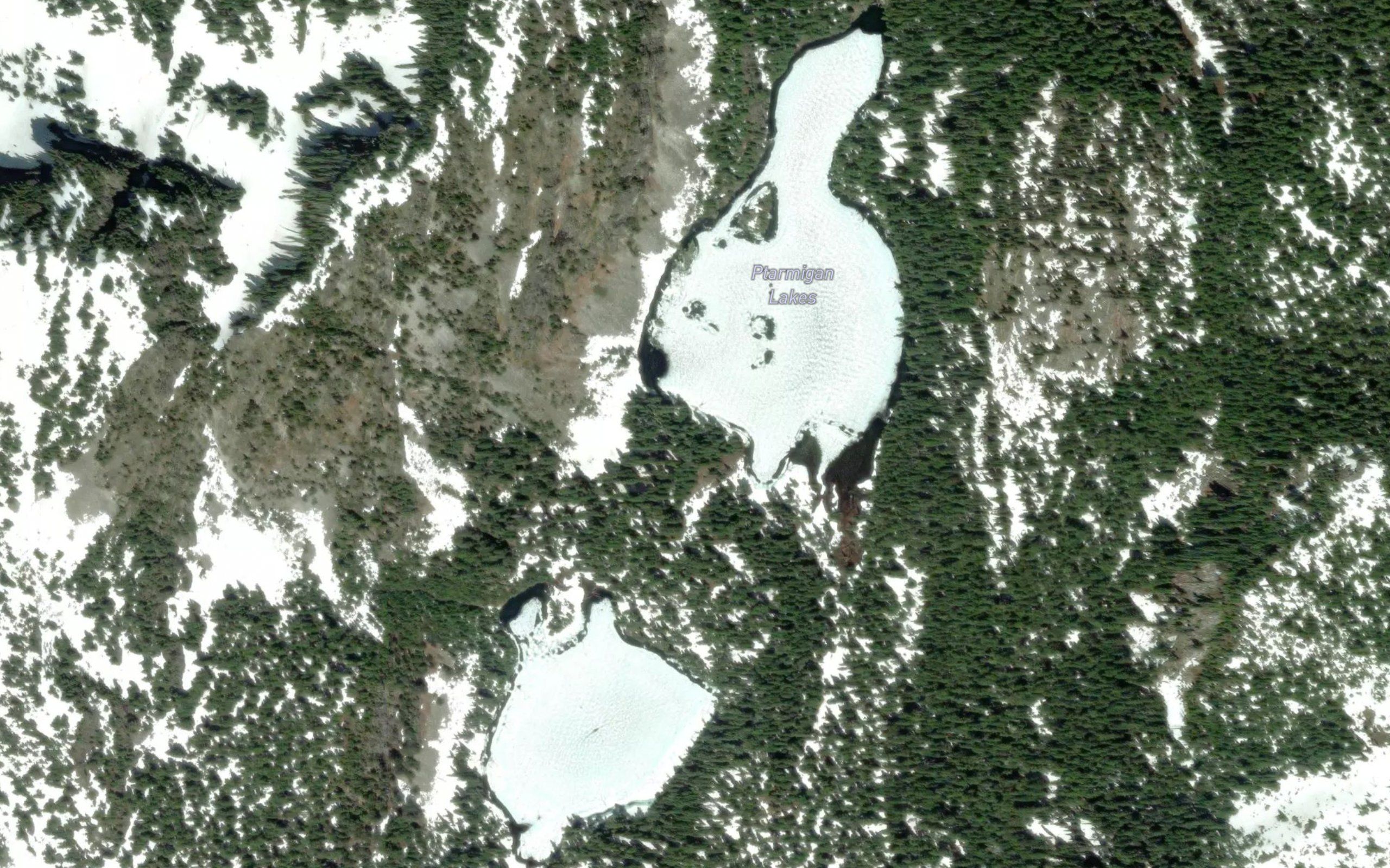 Ptarmigan Lakes