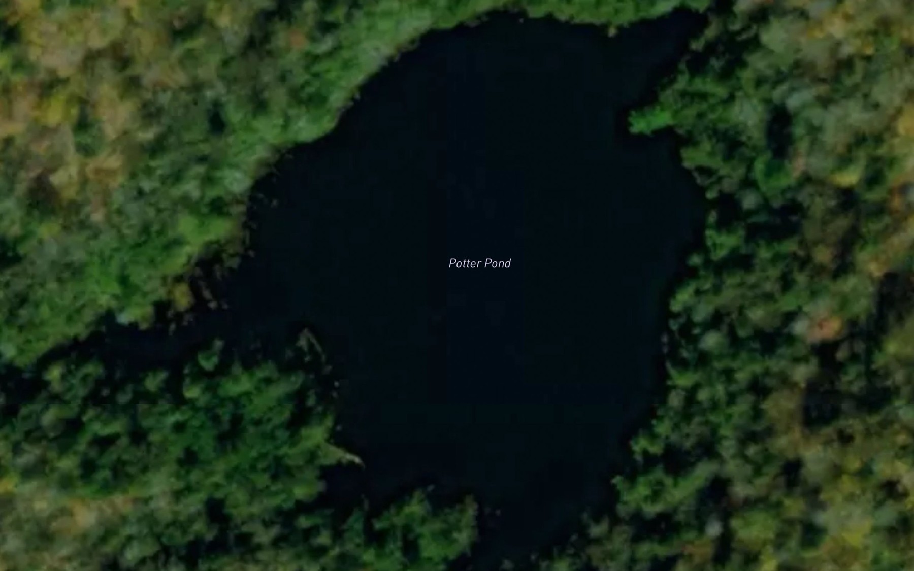 Satellite map of the Potter Pond