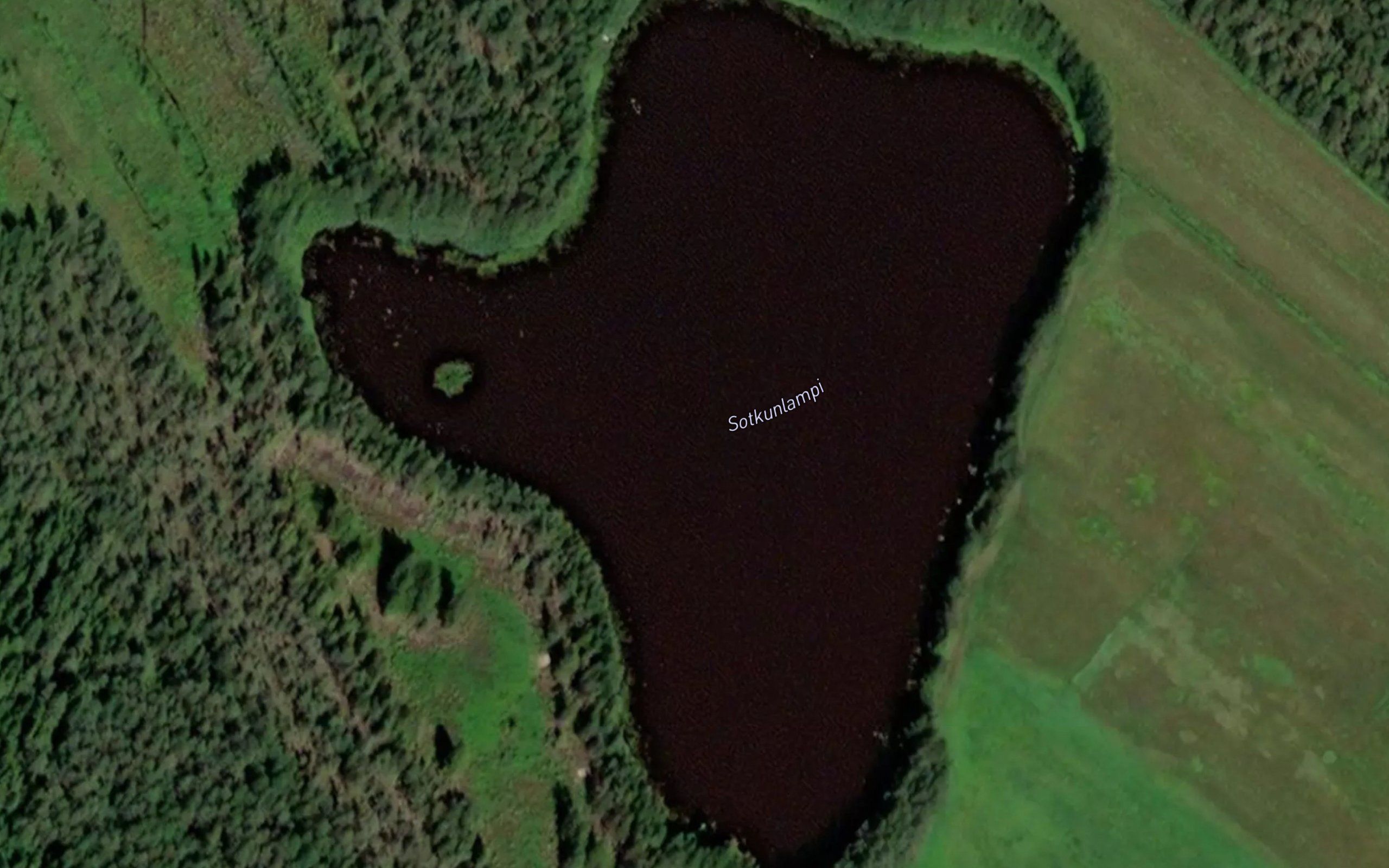 Sotkunlampi