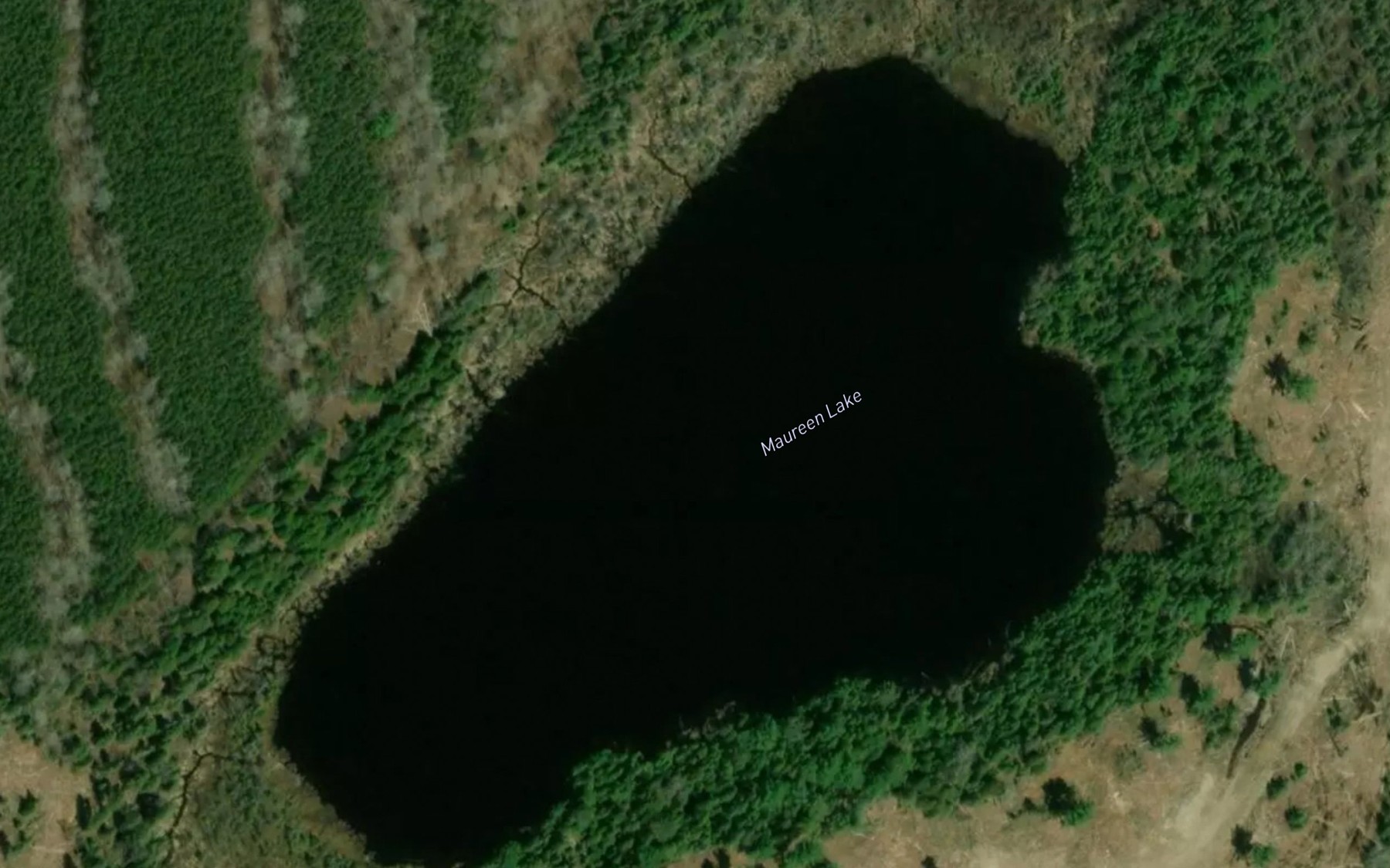 Satellite map of the Maureen Lake