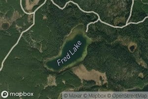 Fred Lake