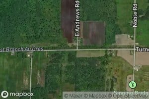 Alabaster Whitney Drain