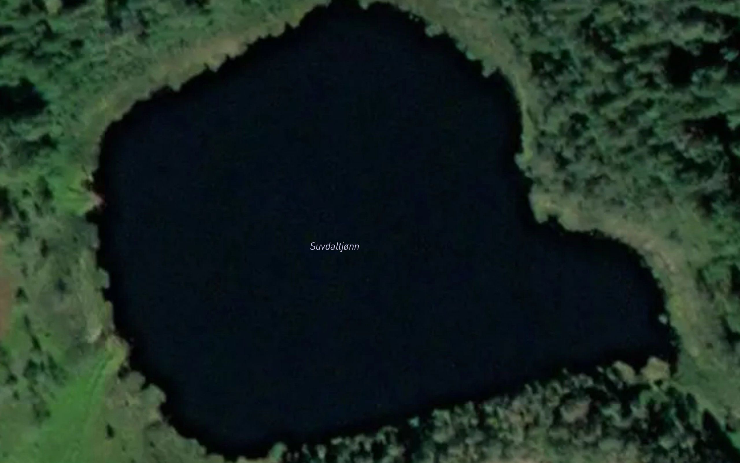 Suvdaltjonn