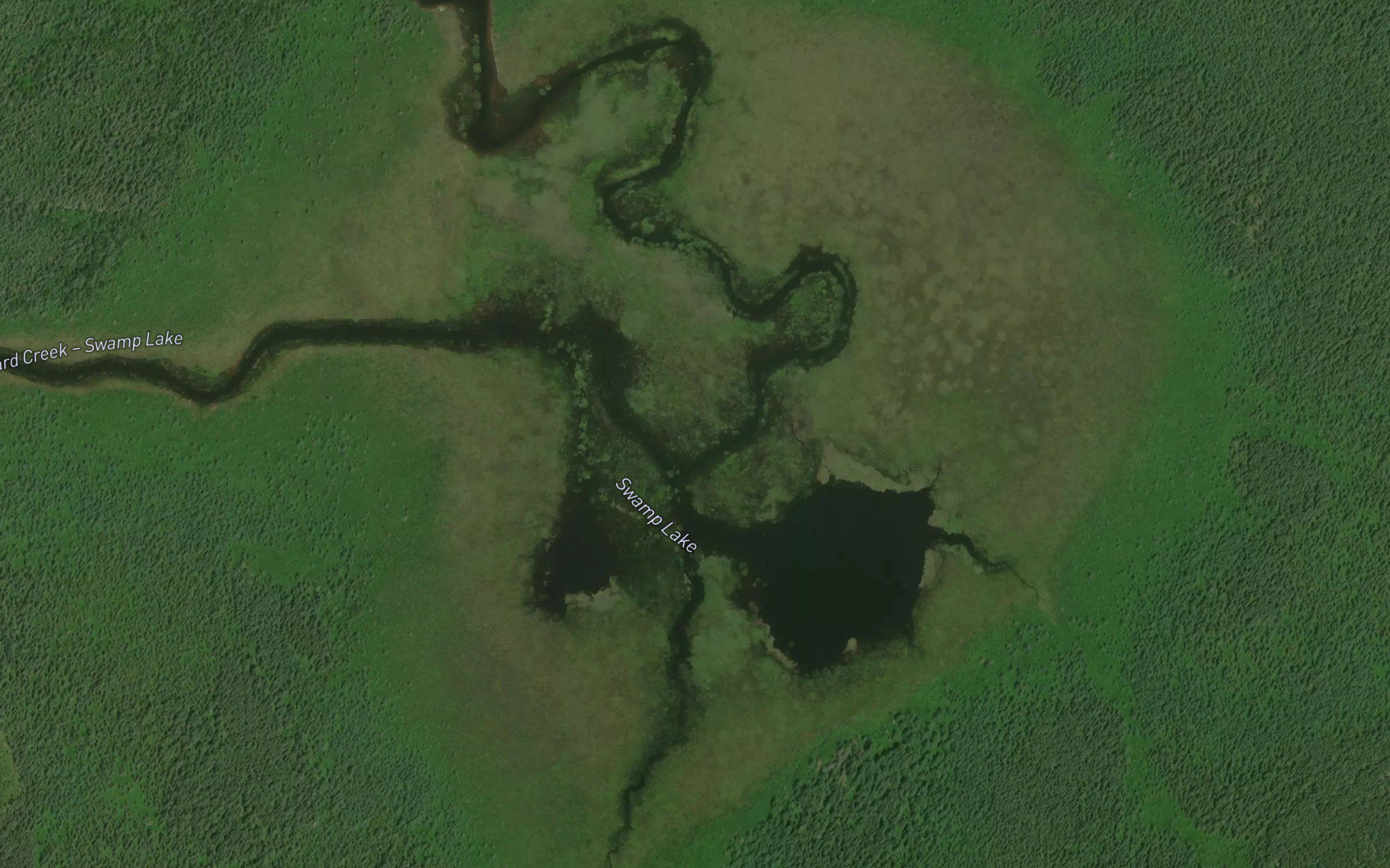 Swamp Lake