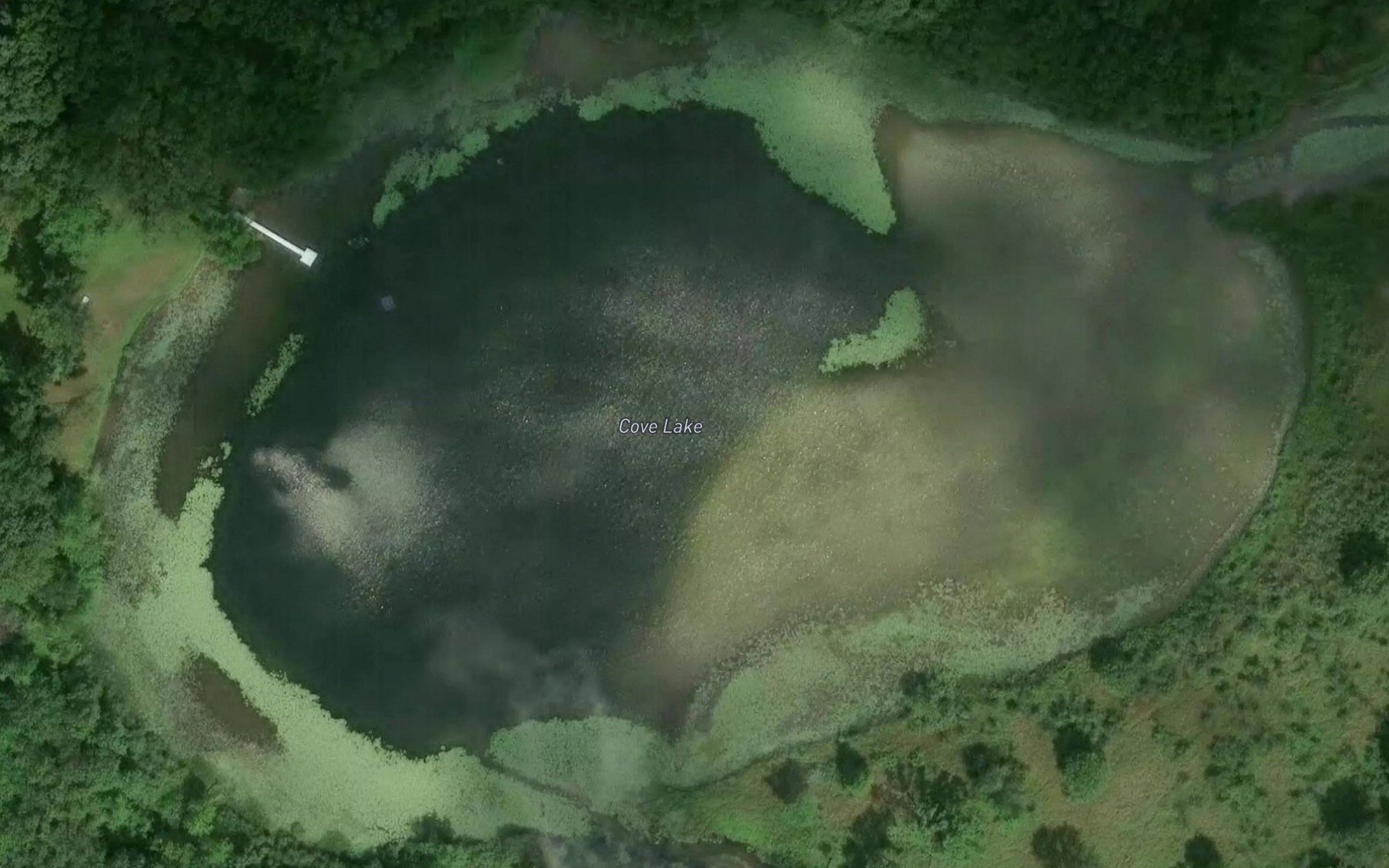 Satellite map of the Cove Lake