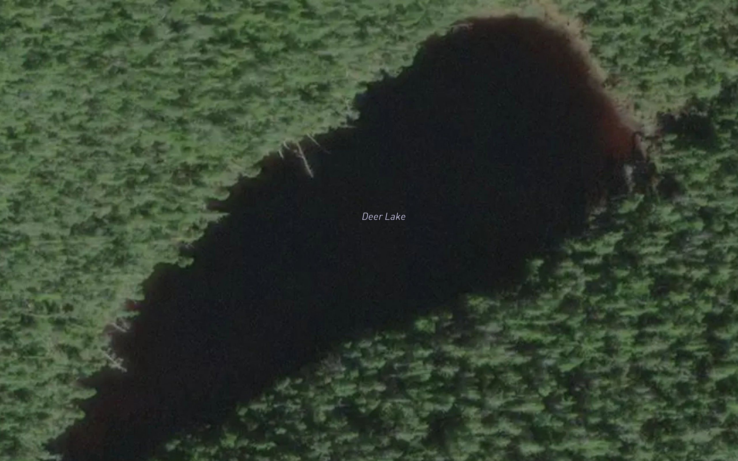 Deer Lake