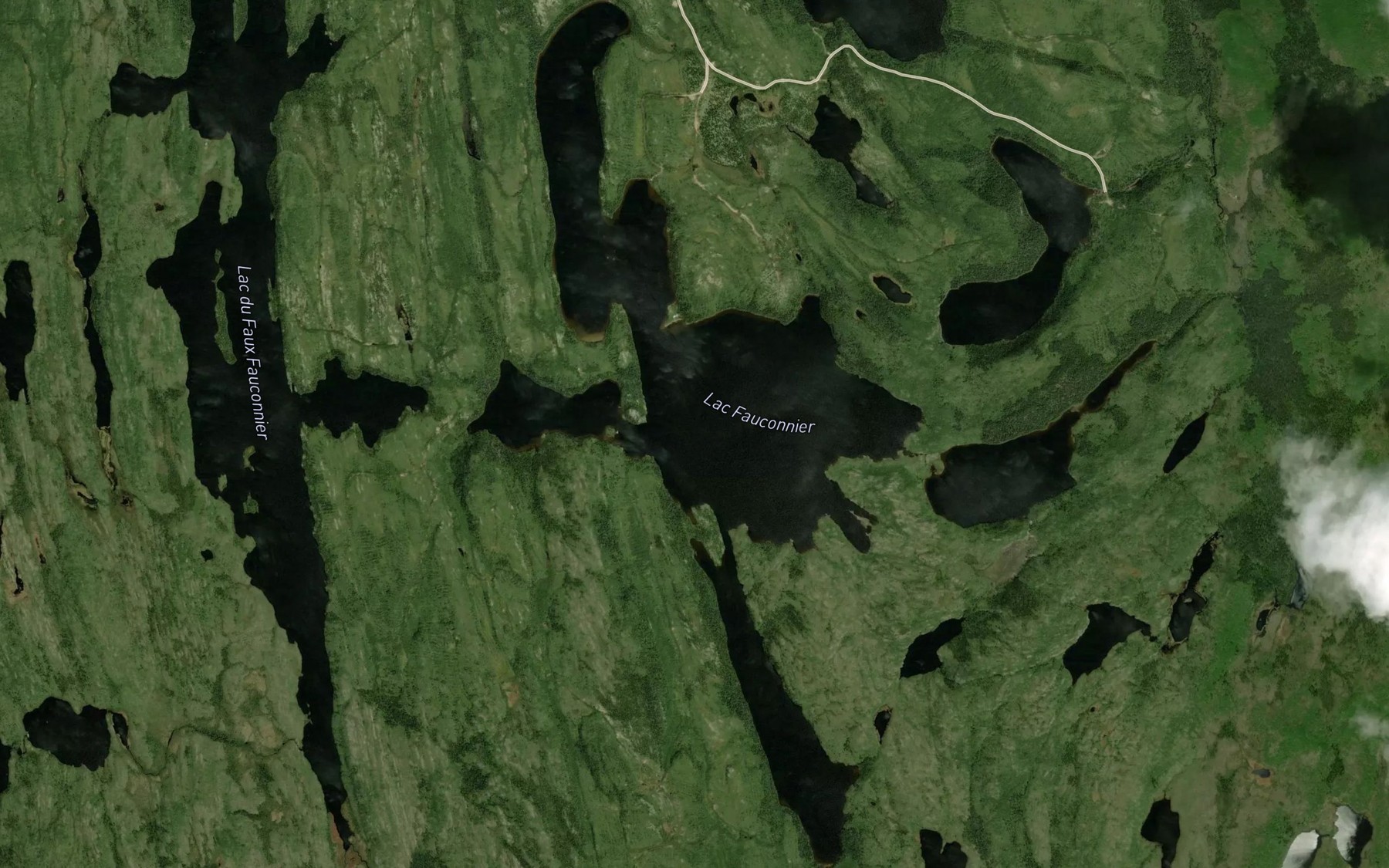 Satellite map of the Lac Fauconnier
