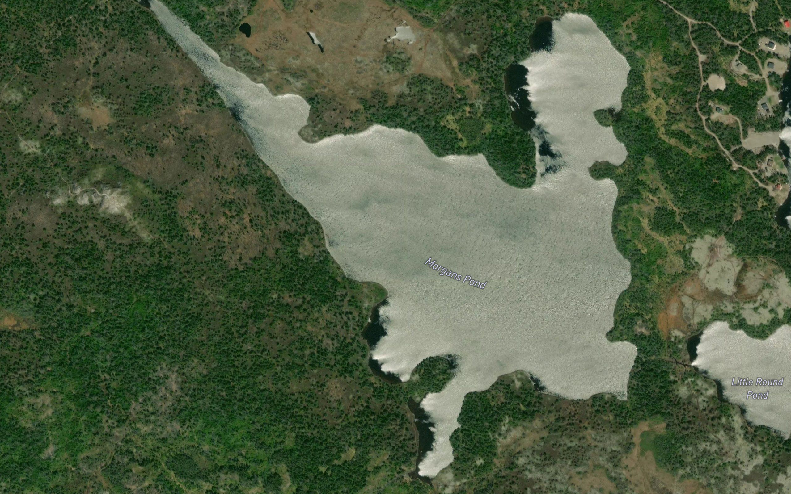 Morgans Pond