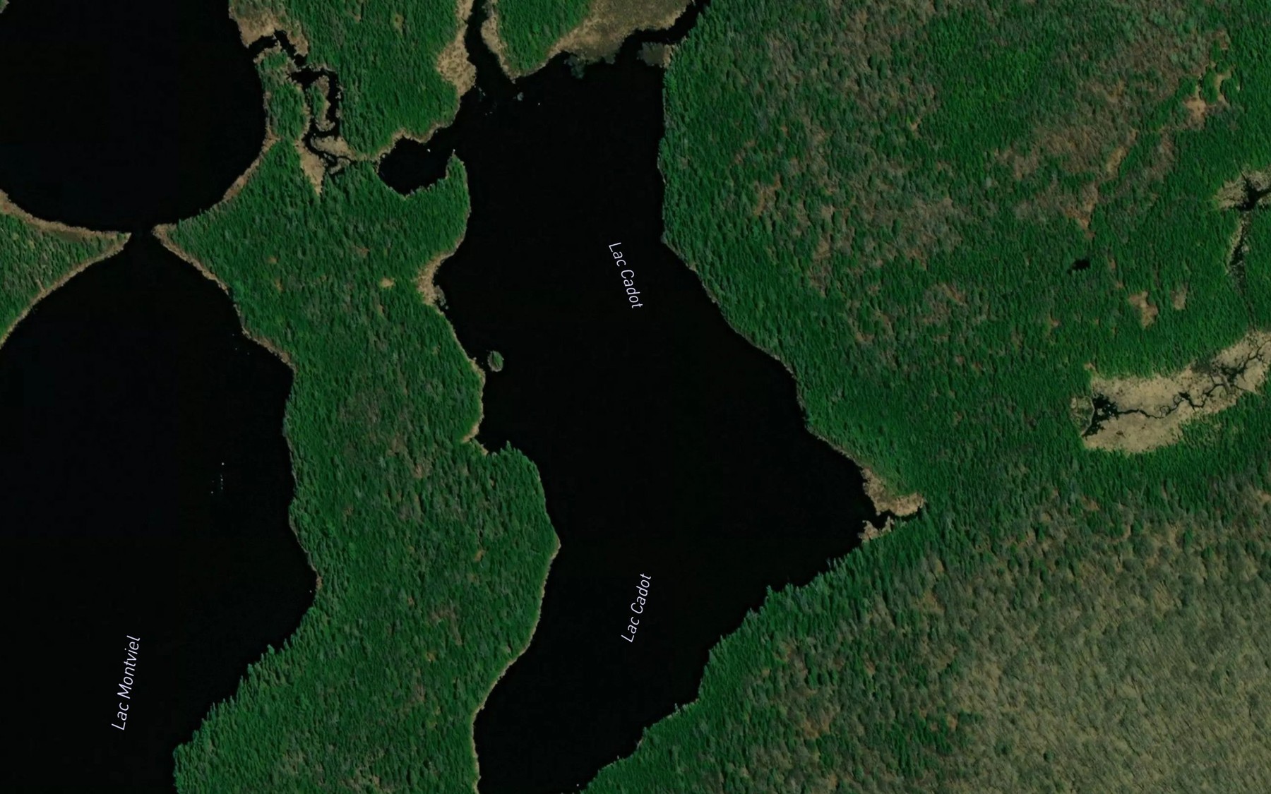 Satellite map of the Lac Cadot