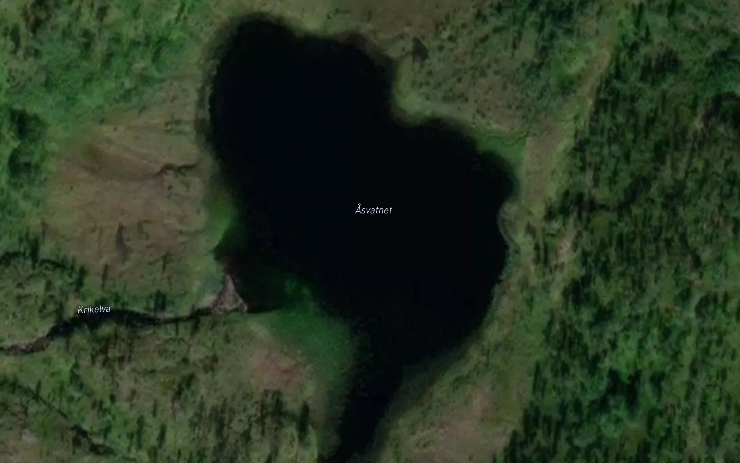 Asvatnet