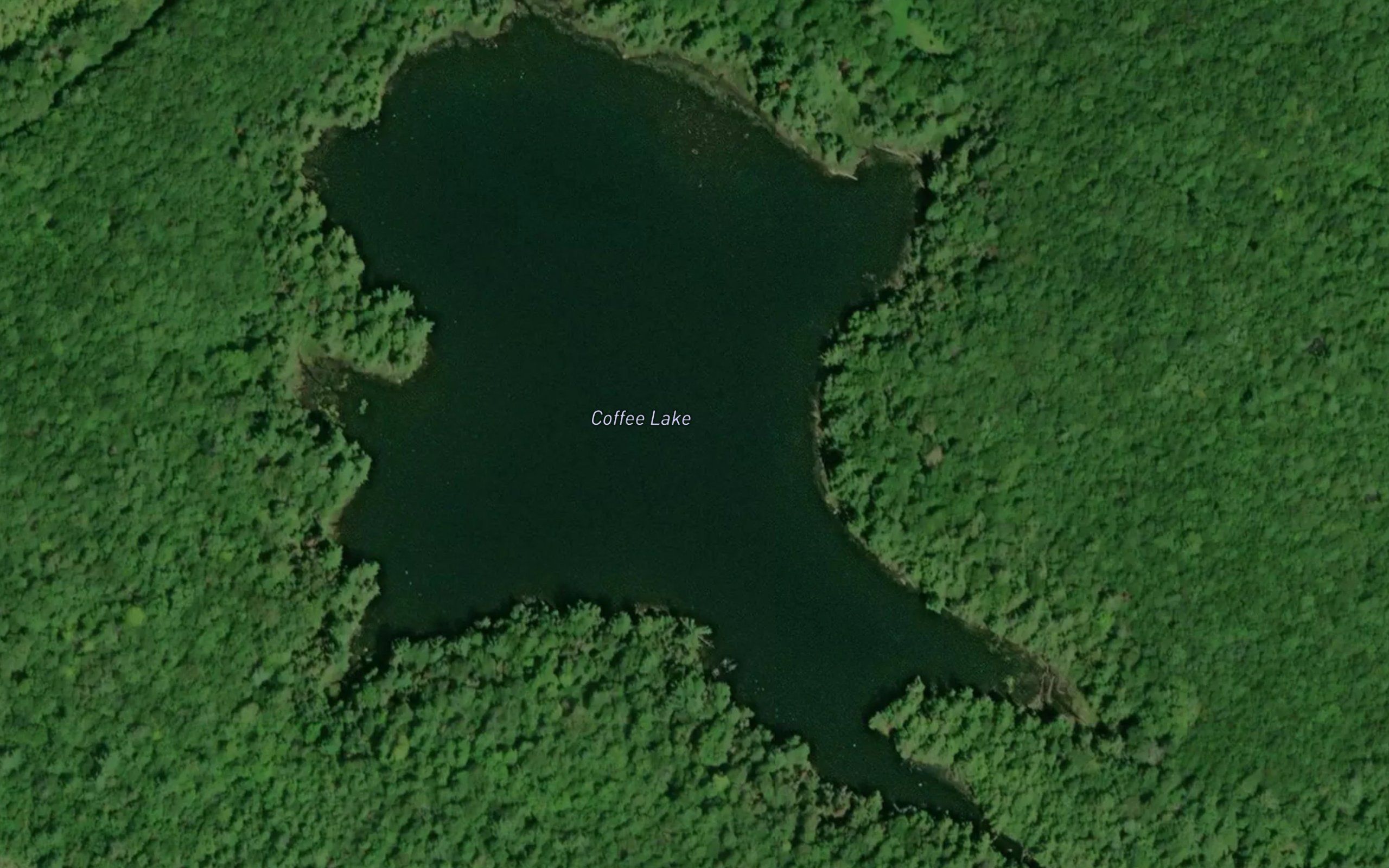 Coffee Lake