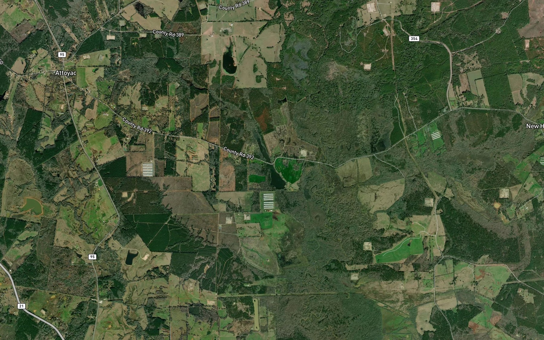 Satellite map of the Scoggins Lake