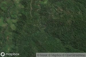 Royongan Sinonsayang