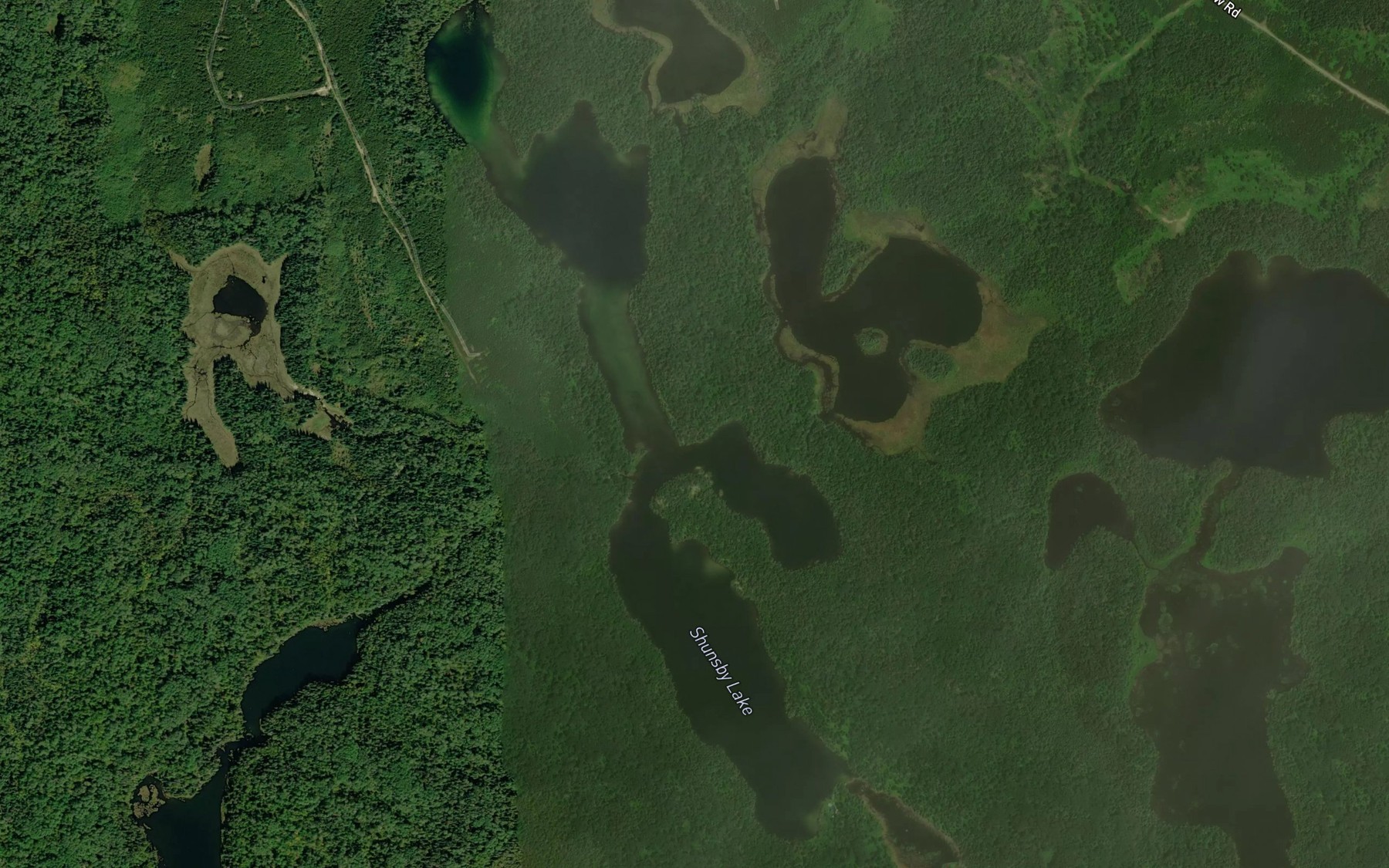 Satellite map of the Shunsby Lake